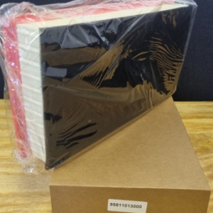 Air filter - 95811013000
